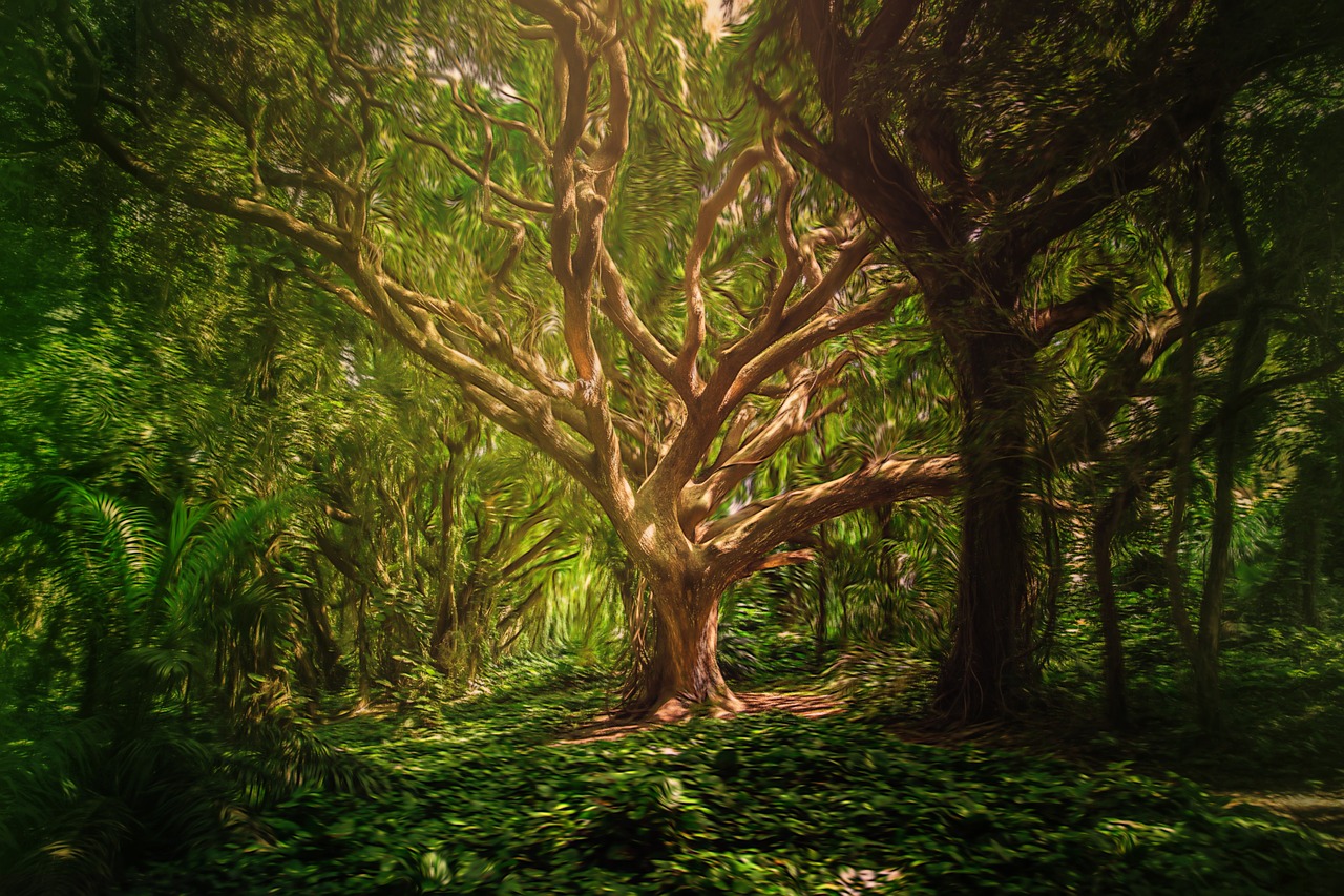 picture of tree